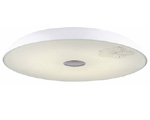 picture (image) of C6010-50-s.jpg