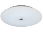 picture (image) of C7009A-S.jpg