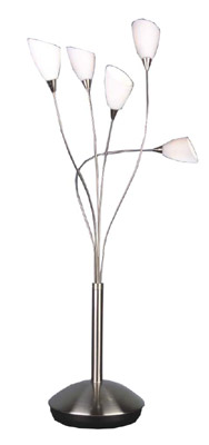 picture (image) of T3010-5.jpg