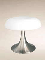 picture (image) of t1013a-s.jpg