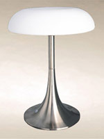 picture (image) of t1013b-s.jpg